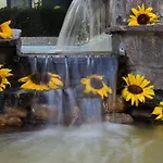 호텔 Gran Delta Di Alba-invest Srl 로솔리나