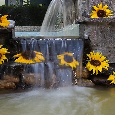 호텔 Gran Delta Di Alba-invest Srl 로솔리나