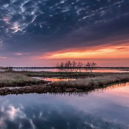 Gran Delta River & Nature