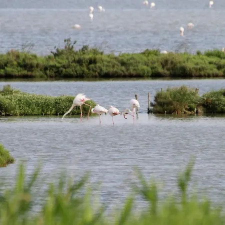 Gran Delta River & Nature 로솔리나